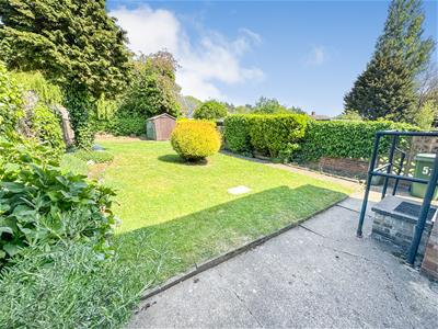 Picture 22